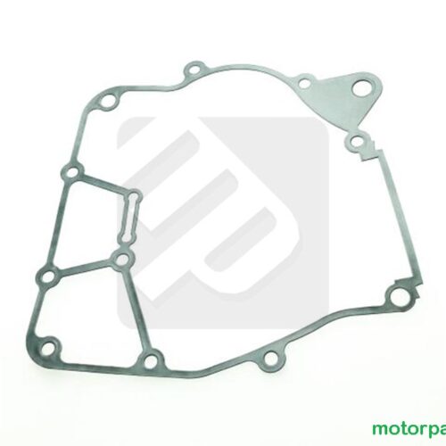 Guarnizione lato statore Access MAX4 300cc