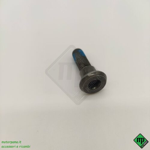 1606303097234.jpg
