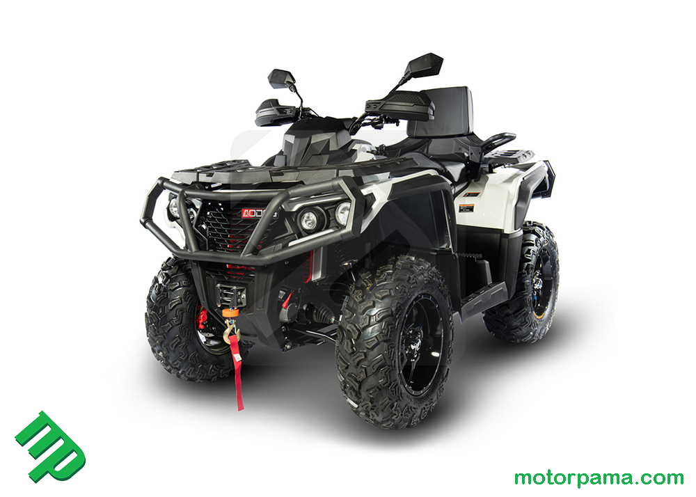 Aodes PATHCROSS 650 L L7E - immagine 5