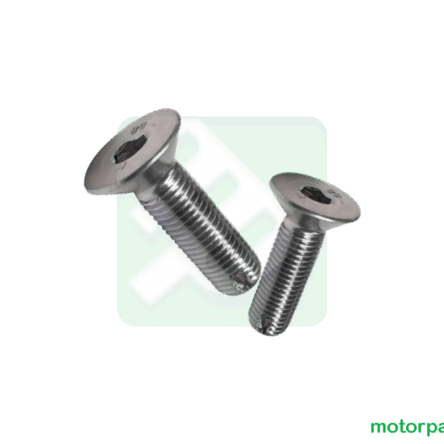 BULL20TR.png
