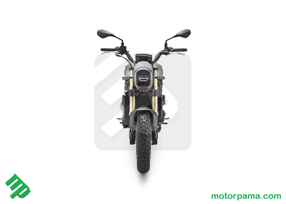 Benelli Leoncino 800 - immagine 3