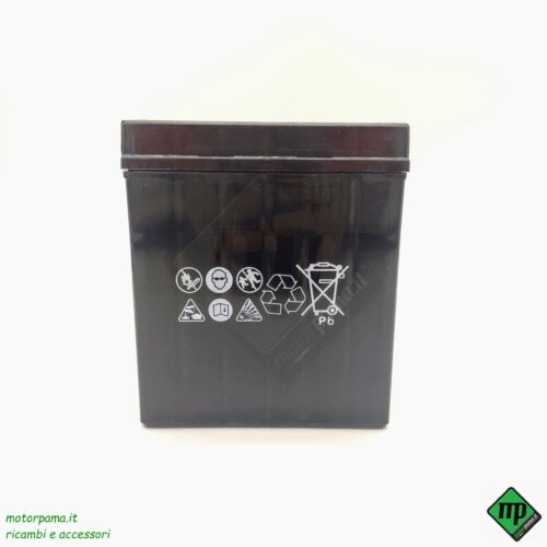 CBTX7L-BS204.jpg