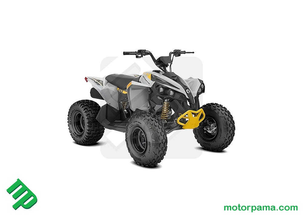 2026 Can-am Renegade EFI 110