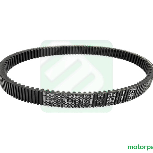 CNG20P202.png