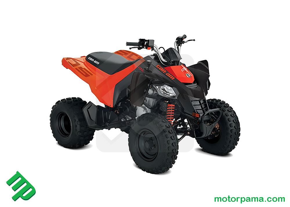 2026 Can-am DS STD 250