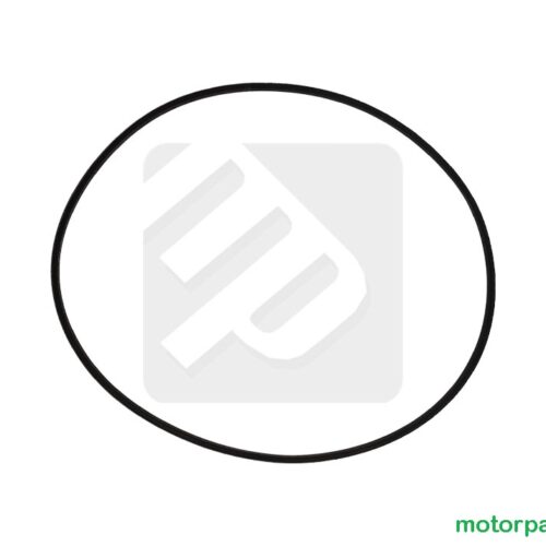 Oring originale Yamaha YFZ / RAPTOR