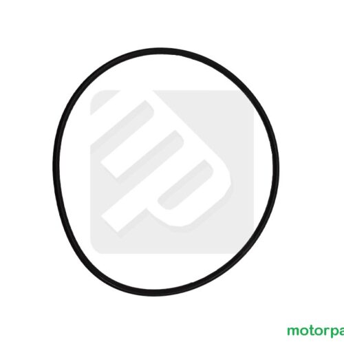Oring originale Yamaha Raptor 700 / YFZ 450