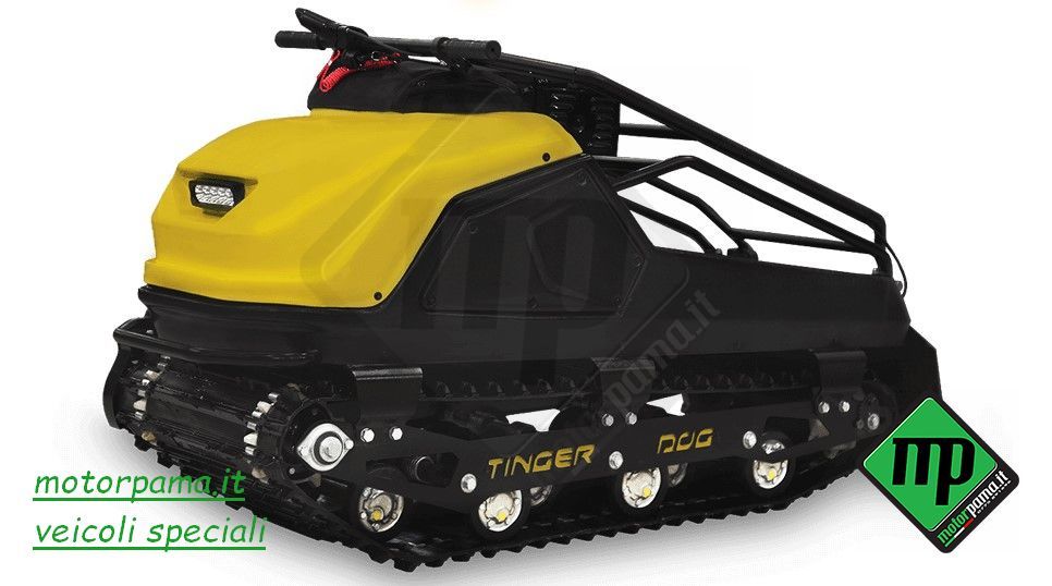 Tinger DOG Giallo