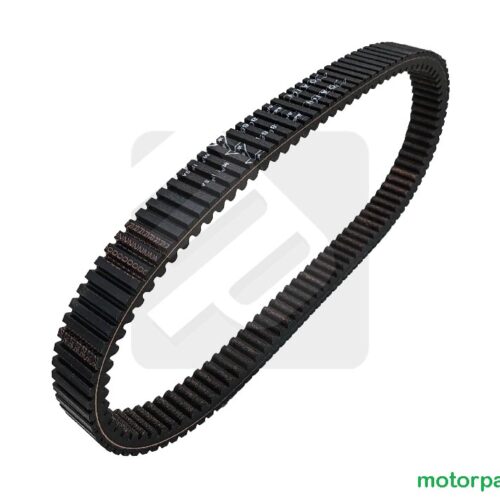 Cinghia di Trasmissione