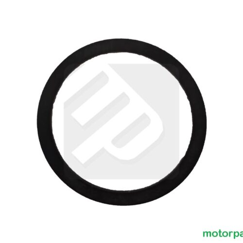 gancio20polaris205.jpg