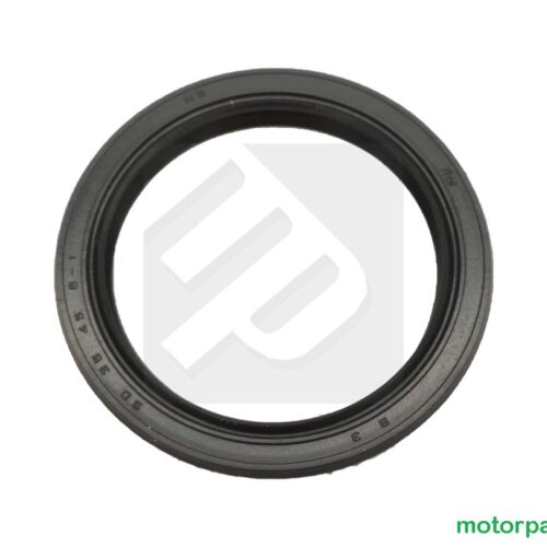 Paraolio lato pignone Yamaha Raptor 700