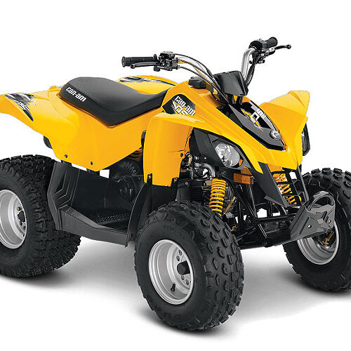 Can-am DS