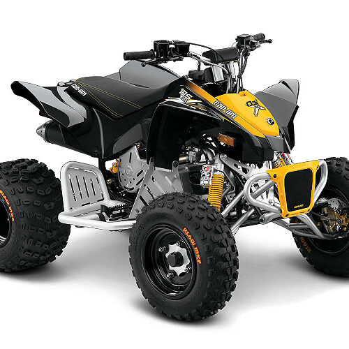 Can-am DS X
