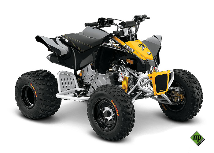 Can-am DS X