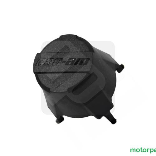 Tappo coprimozzo centrale ruota originale Can-Am