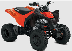 Quad Can am