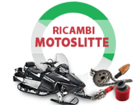 Ricambi Motoslitte