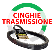 Cinghie trasmissione Motoslitte