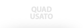 Usato Garantito